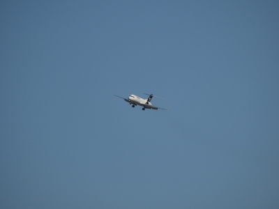 P1080011