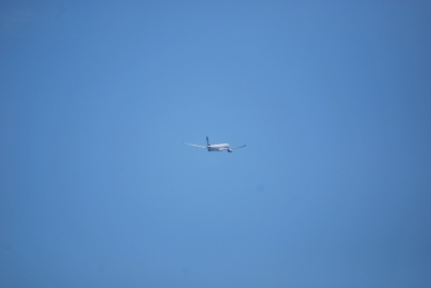 DSC_0575