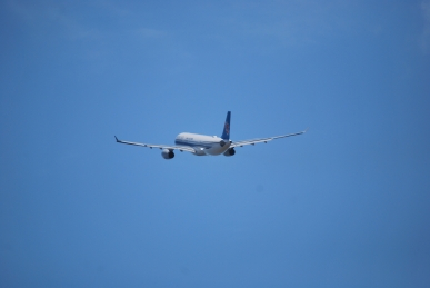 DSC_0501