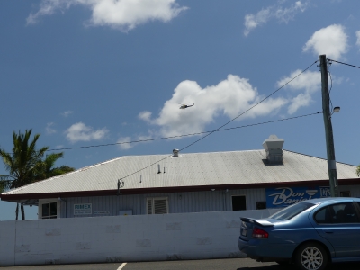 P1190381