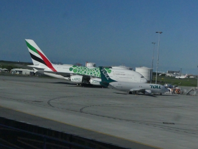 P1060830~photo