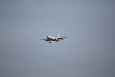 DSC_0773