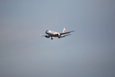 DSC_0774