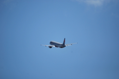 DSC_0199