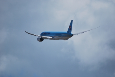 DSC_0184