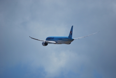 DSC_0185