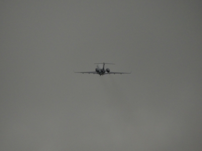 P1070429