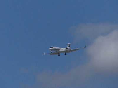 P1060711~photo