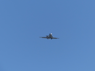 P1250206