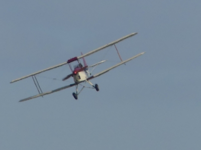 P1180706