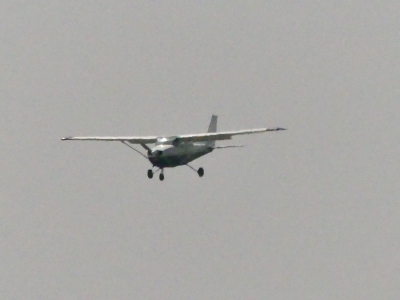 P1130501