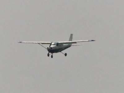 P1130502