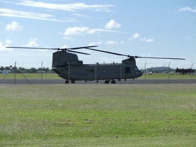 P1060955