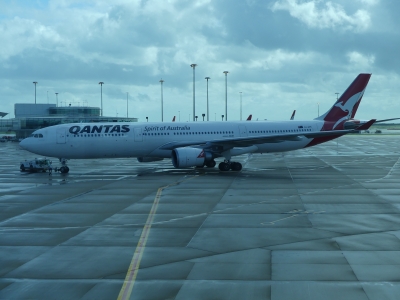 P1150008