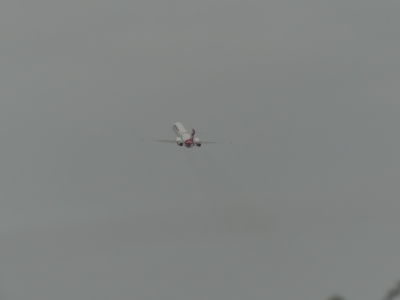 P1070340