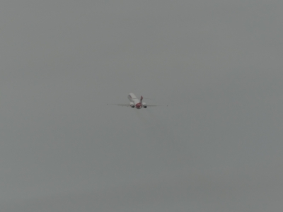 P1070341