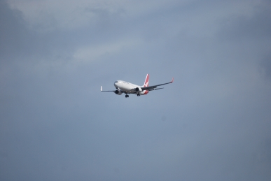 DSC_0747