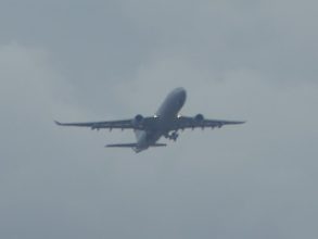 P1190966