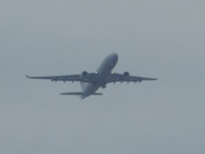 P1190968