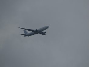 P1190975