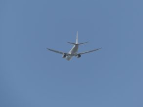 P1110024