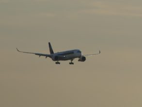 P1180596