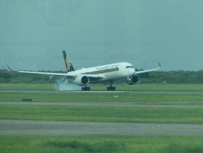 P1150451