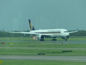 P1150456