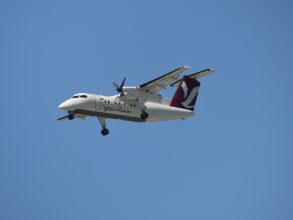 P1070830