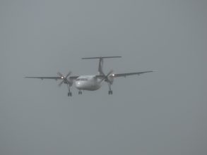 P1170966