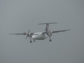 P1170967