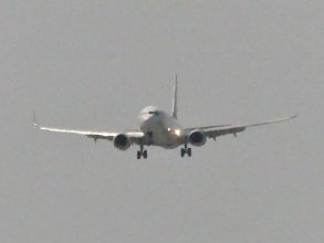 P1130532