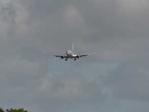 P1100889