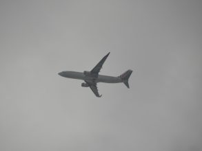 P1070513
