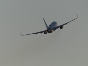 P1290419