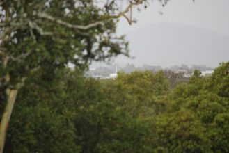 DSC_0198
