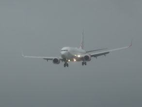 P1200445
